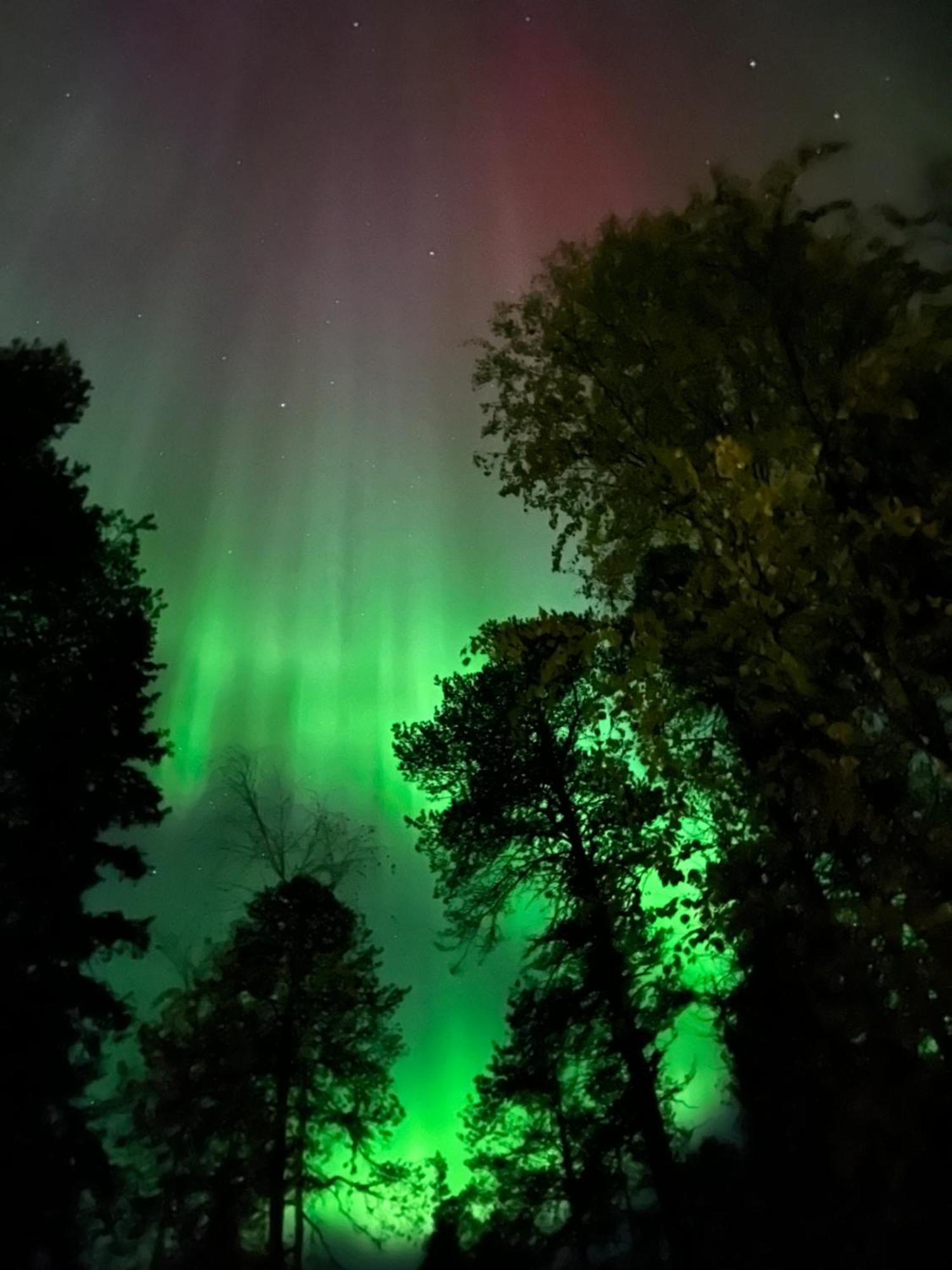 Wonderful Arctic City Apartment Rovaniemi Esterno foto